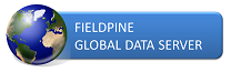 Global Data Server Logo